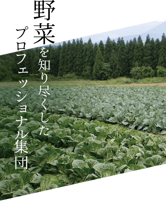 野菜を知り尽くした