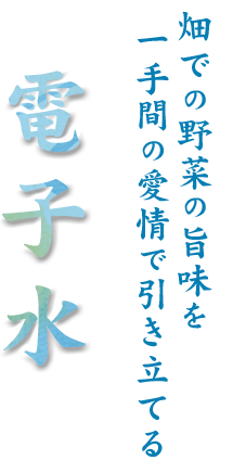 畑での野菜の旨味を